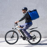 500W Electric Bike 26" Electric Bicycle for Adults Max 19.8Mph Cruise Control System Ebike, Mountain Bike with Removable 48V 375Wh Lithium-Ion Battery, 21 Speed E Bicycle for Man Woman UL2849