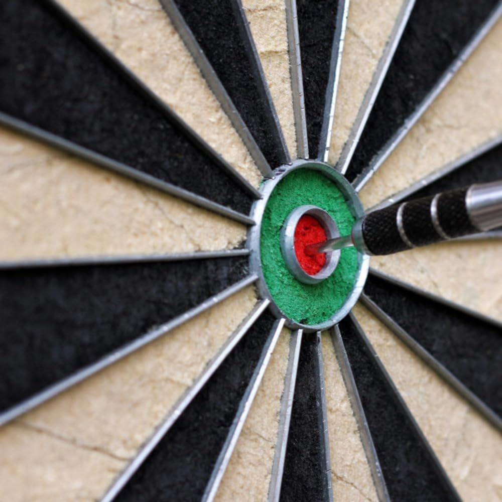 Bristle Dart Board, Tournament Sized Indoor Hanging Number Target Game for Steel Tip Darts- Dartboard with Mounting Hardware by