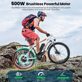 500W Electric Bike 26" Electric Bicycle for Adults Max 19.8Mph Cruise Control System Ebike, Mountain Bike with Removable 48V 375Wh Lithium-Ion Battery, 21 Speed E Bicycle for Man Woman UL2849
