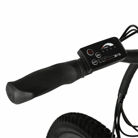 29"  36V Class 2 Electric Mountain Bike for Adults, 350W E-Bike Motor, Black