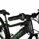 29"  36V Class 2 Electric Mountain Bike for Adults, 350W E-Bike Motor, Black