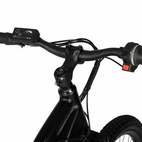 29"  36V Class 2 Electric Mountain Bike for Adults, 350W E-Bike Motor, Black